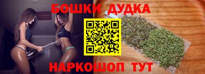 сатива Новозыбков