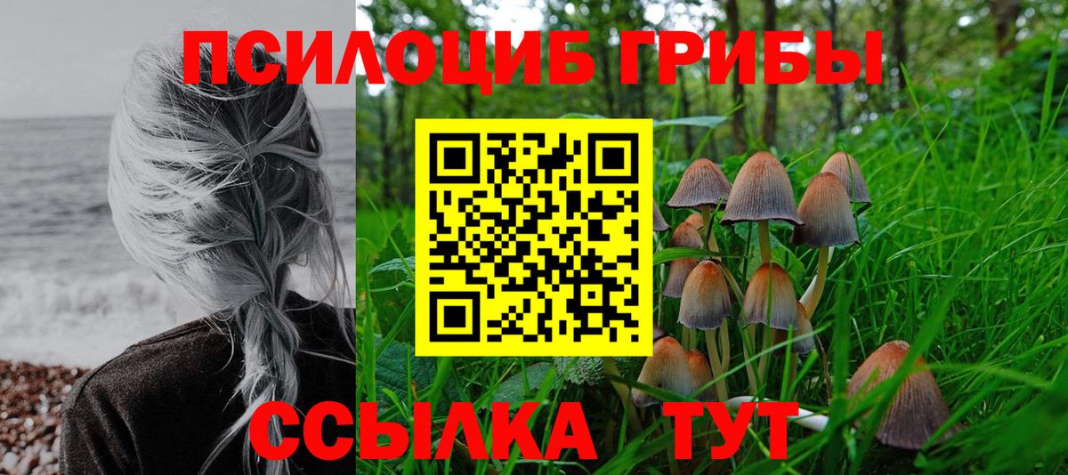 Тамбов  Псилоцибиновые грибы Magic Shrooms  Вход с VPN 